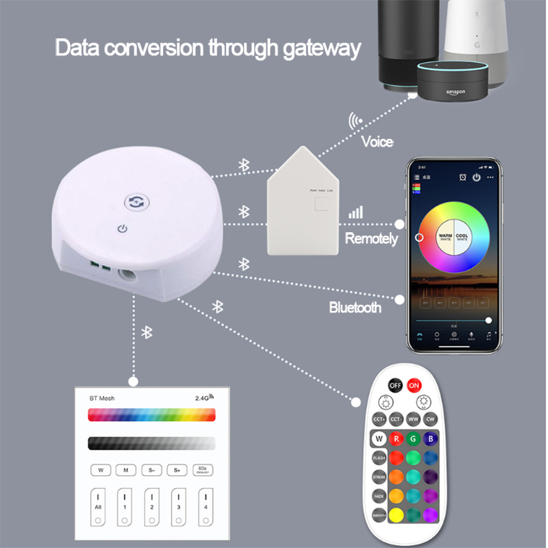 5m RGBW Multi-Color LED Strip Light Kit Bluetooth Control